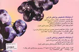 رژیم درمانی ام اس